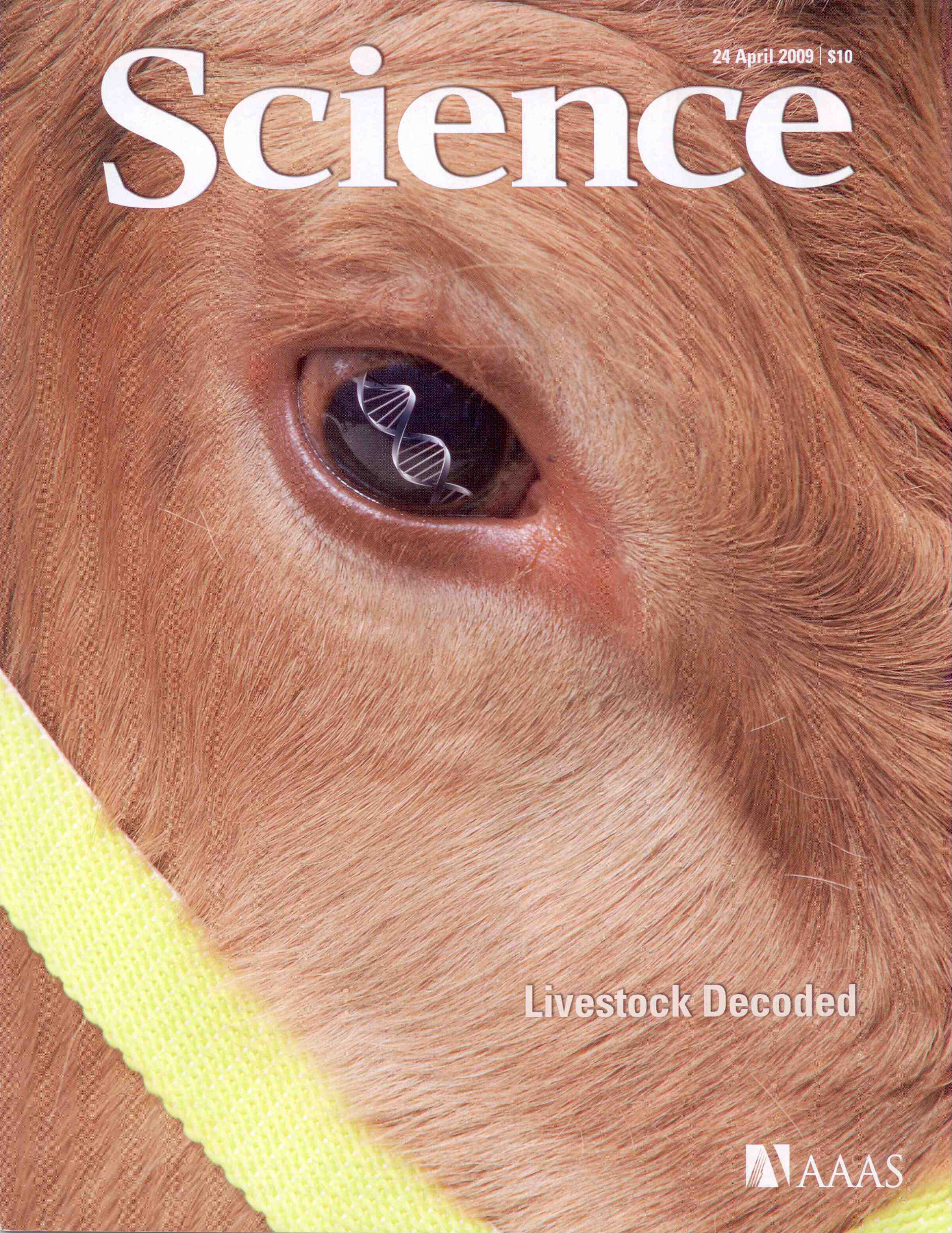 scientific illustration